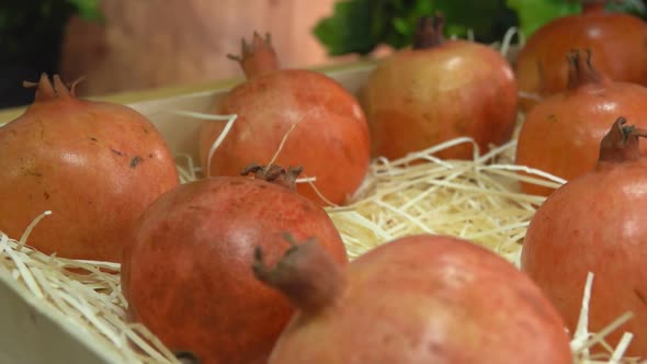 Female Hand Is Putting Juicy Pomegranate Into the Wooden Box on the Shavings