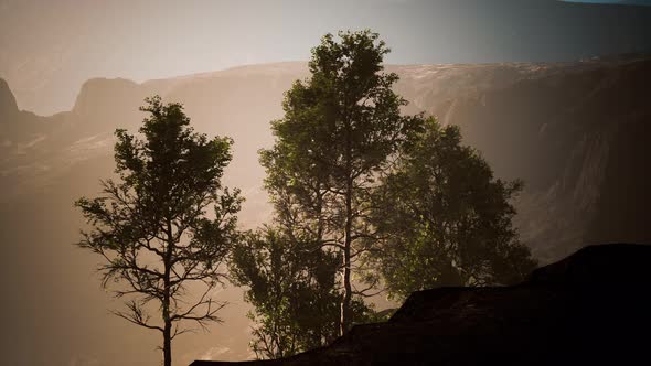 Scenic Landscape with Steep Cliffs and Trees During a Sunny Day