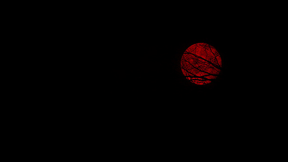 Moving Under Trees With Blood Red Moon Above