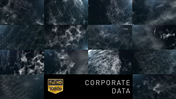 Corporate Data Pack