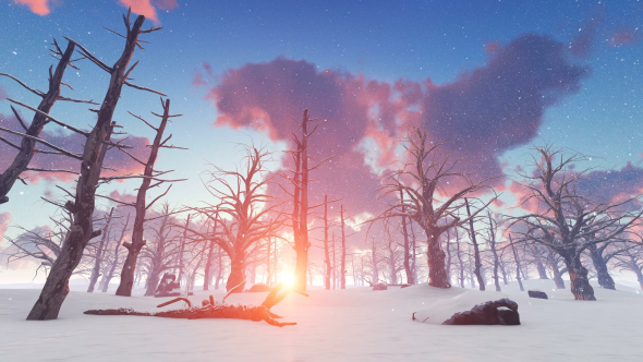 Beautiful Winter Landscape alt