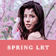 Spring Pro Lightroom Presets - GraphicRiver Item for Sale