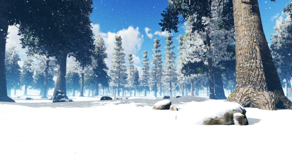 Snowy Pine Trees alt