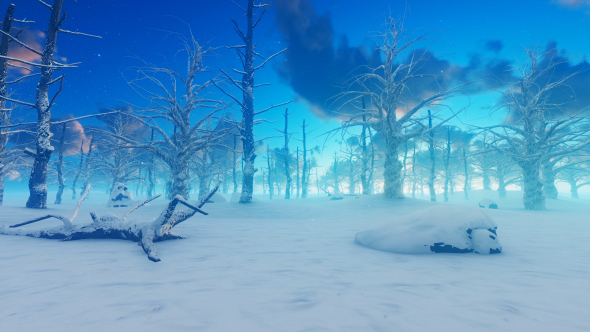 Winter Landscape alt