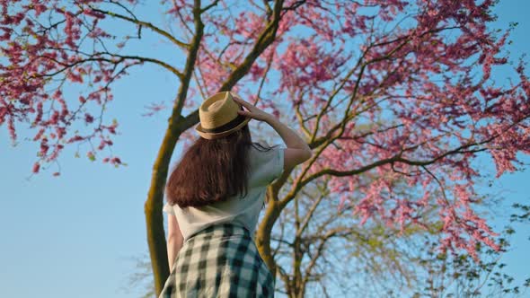 A Young Woman in a Straw Hat Walks to the Sakura Tree and Looks Up