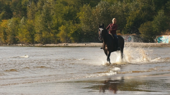 Galloping Horse with a Female Rider on a Beach at the Waters Edge on a Sunny Day