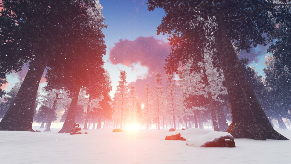 Sunset in Snowy Forest alt