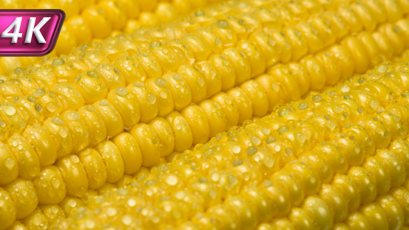 Juicy Corn in Water Drops