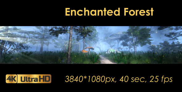 The Enchanted Forest Panorama