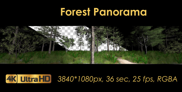 Forest 3D Panoramic Animation