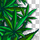 Cannabis Frames - VideoHive Item for Sale
