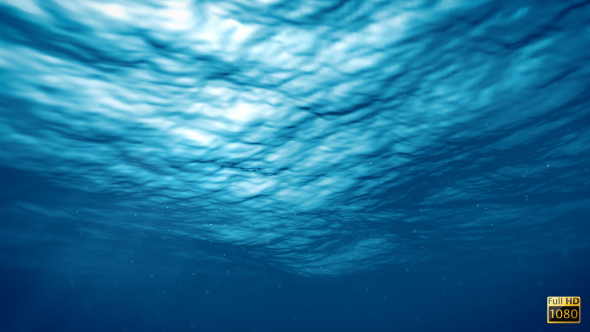 Fly Through Underwater alt