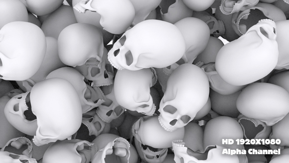 Rain Skulls Transition 3 alt