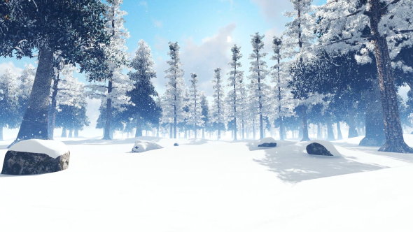 Beautiful Snowy Jungle alt
