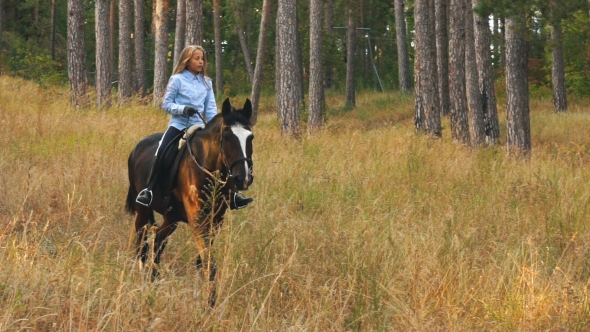 Girl Riding a Horse Walking in the Woods