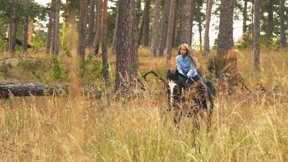 Girl Riding on a Brown Horse Through the Woods