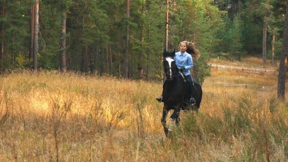 Girl Riding a Horse Walking in the Woods
