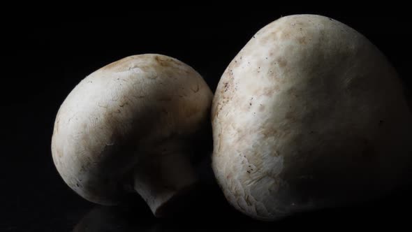 Close Up Of Delicious White Mushrooms