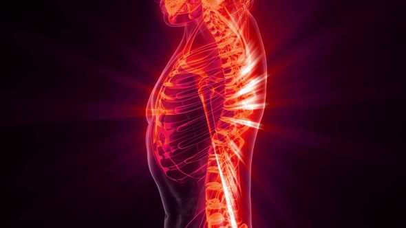 Human Body with Visible Skeletal Bones alt