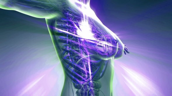 Human Body with Glow Blood Vessels alt