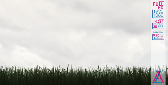 The Wind Blows on The Grass alt