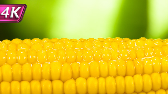 Salt Drops on Hot Corn