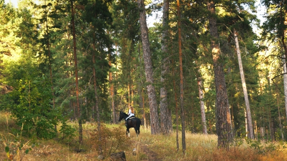 Young Girl Galloping on Autumn Field Near the Forest