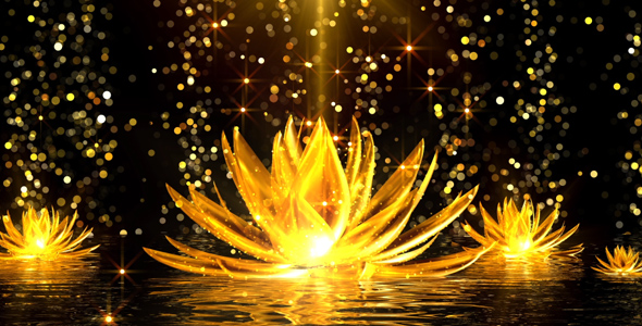 Gold Flowers on Water