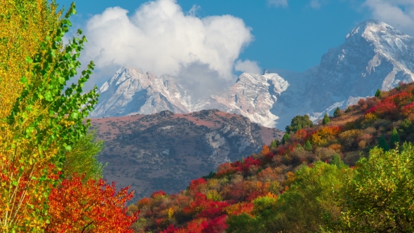The Mountain  Autumn Landscape with Colorful Forest