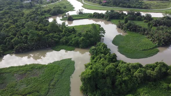 Sungai Perai upstream with green tree