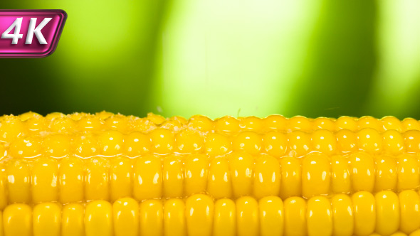 Corn with Cream Butter and Salt