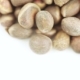 Pine Nuts in Bulk - VideoHive Item for Sale