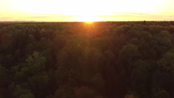 Drone flying towards sunset over tree canopy of a forest in autumn