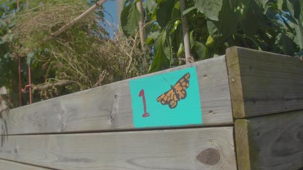 Hand Painted Butterfly Garden Sign