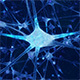Neuron Network - VideoHive Item for Sale