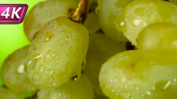 Grapes Berries with Dew Drops