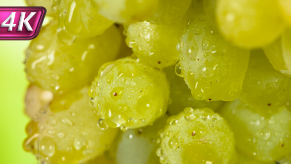 Grapes Berries in Water Splashes