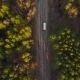 Aerial View of the Colorful Autumn forest.Look Down on Autumn forest.Aerial View on the Way in the - VideoHive Item for Sale