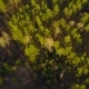 Aerial View of the Colorful Autumn forest. Look Down on Autumn forest.Aerial View on the Way in the - VideoHive Item for Sale
