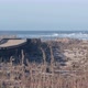 Ocean Beach Sandy Dunes California Coast Flora - VideoHive Item for Sale