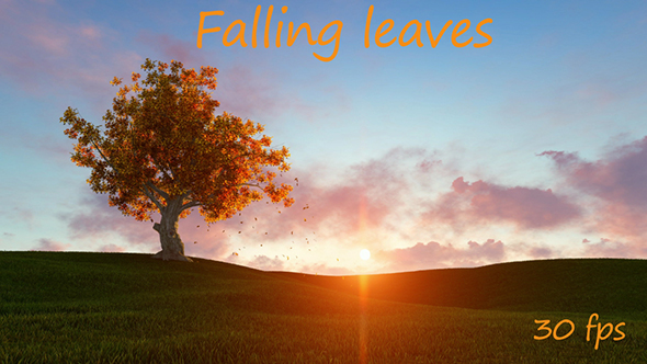 Falling Leaves with Sunset
