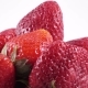 Berries of a Strawberry - VideoHive Item for Sale