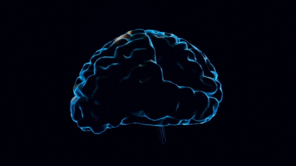 Human Brain with Neuronal Impulses alt