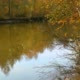 Reflection of Yellow Autumn Trees in the Lake - VideoHive Item for Sale