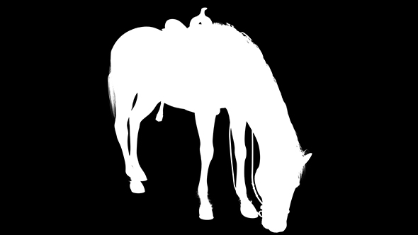 3D Horse Feed Silhouette