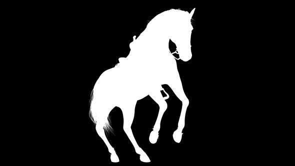 3D Horse Rise Silhouette