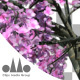 3D Animated Photorealistic Sakura Tree Ver.1 - Pink - VideoHive Item for Sale