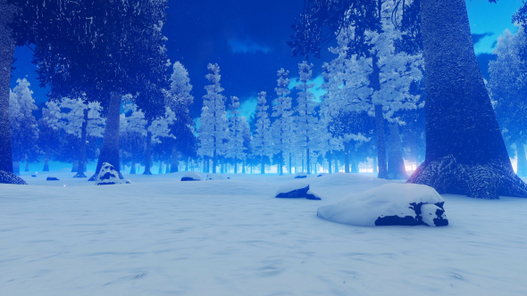 Evening in Snowy Jungle alt