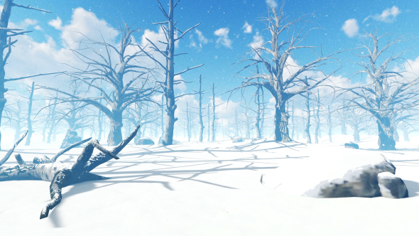 Winter in the Forest alt