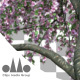 3D Animated Photorealistic Sakura Tree Ver.3 - Pink & Green - VideoHive Item for Sale